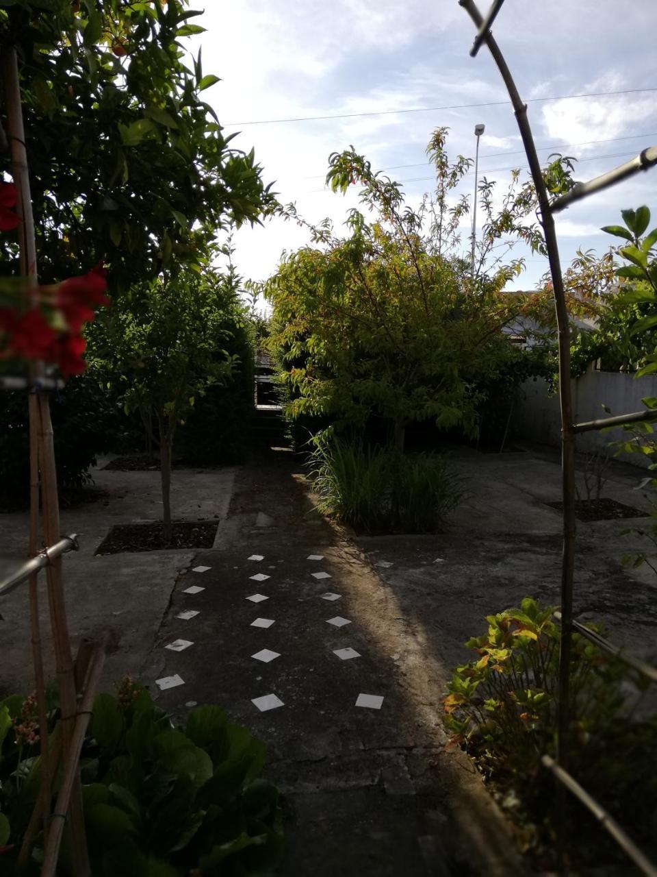 Casa Conceição Apartamento Atalaia  Exterior foto